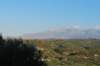 dsc_0325_small.jpg