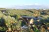 dsc_0329_small.jpg