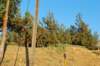 dsc_0331_small.jpg