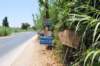 dsc_0616_small.jpg