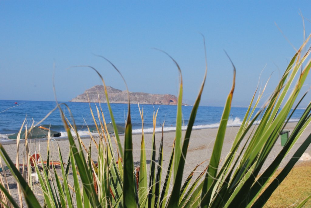 dsc_0679.jpg