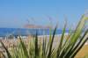 dsc_0679_small.jpg