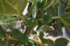 dsc_0891_small.jpg
