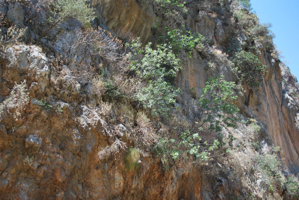 dsc_0916.jpg