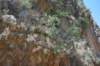 dsc_0916_small.jpg