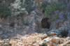 dsc_0939_small.jpg