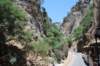 dsc_0943_small.jpg