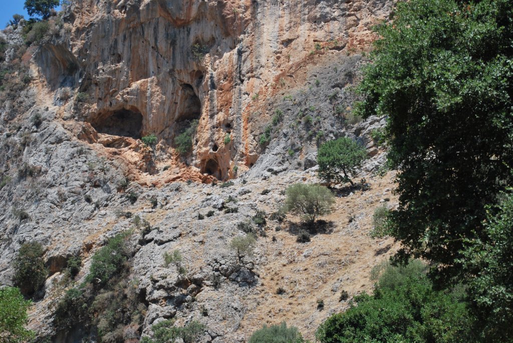 dsc_0947.jpg
