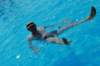 dsc_1032_small.jpg